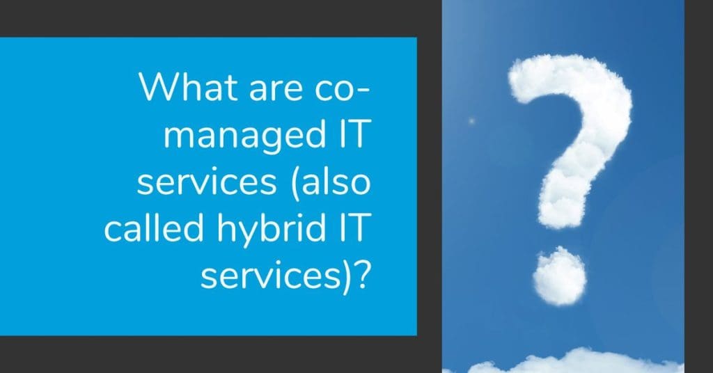 SkyTerra What are co-managed IT services