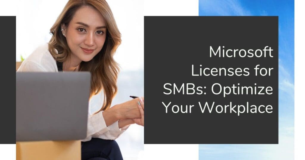 Microsoft Licenses for SMBs How to Optimize Your Subscriptions - SkyTerra
